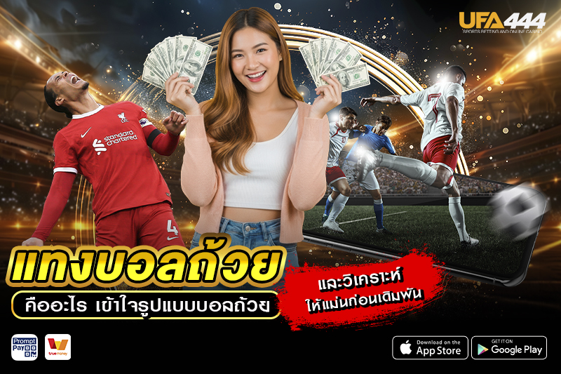 แทงบอลถ้วย คืออะไร