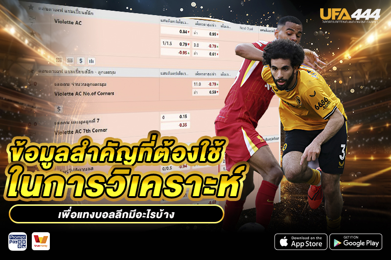ข้อมูลสำคัญเพื่อ แทงบอลลีก มีอะไรบ้าง